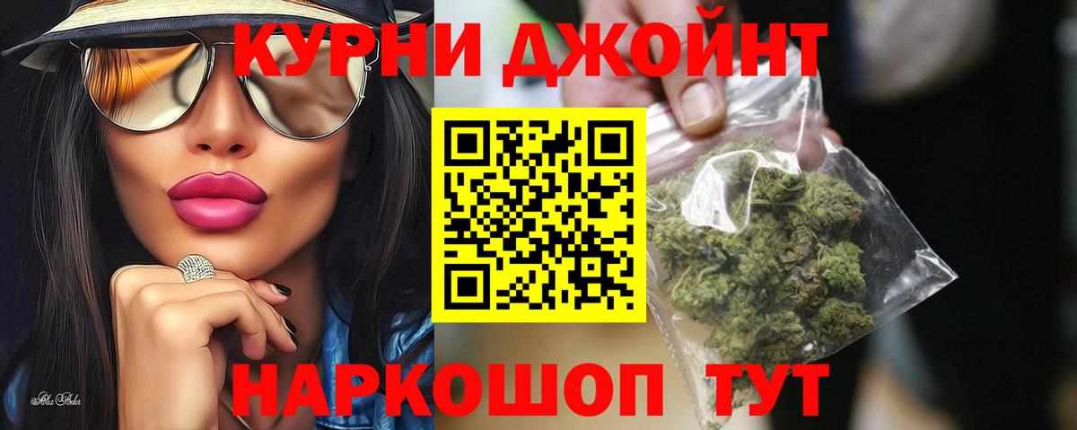 A PVP Бердск